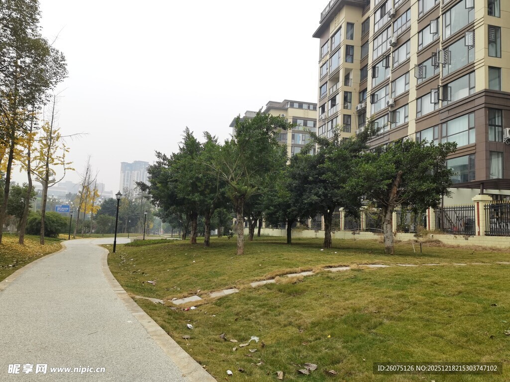 小区旁的宁静林荫步道