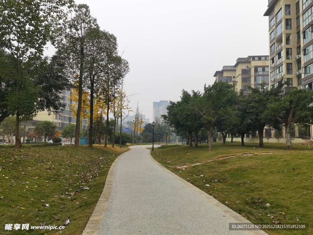 小区内的幽静林荫小道