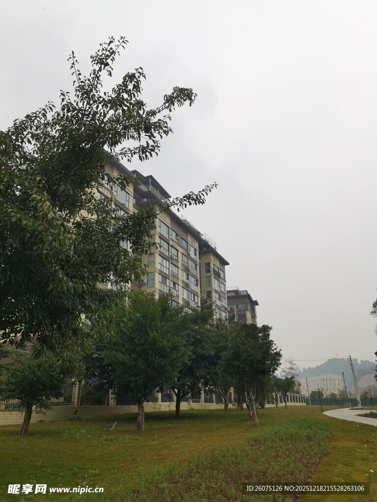 校园建筑旁的绿树草地