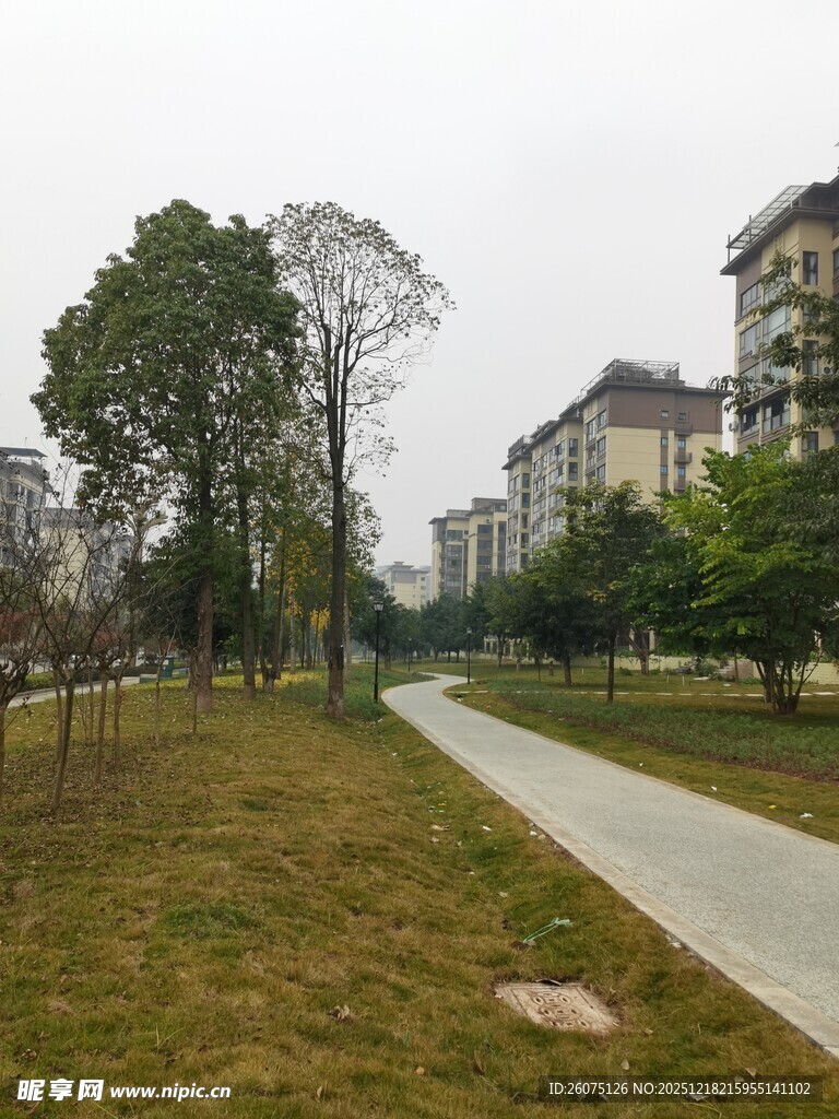 小区内的林荫步道景观