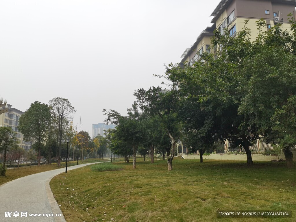 小区旁的林荫小径