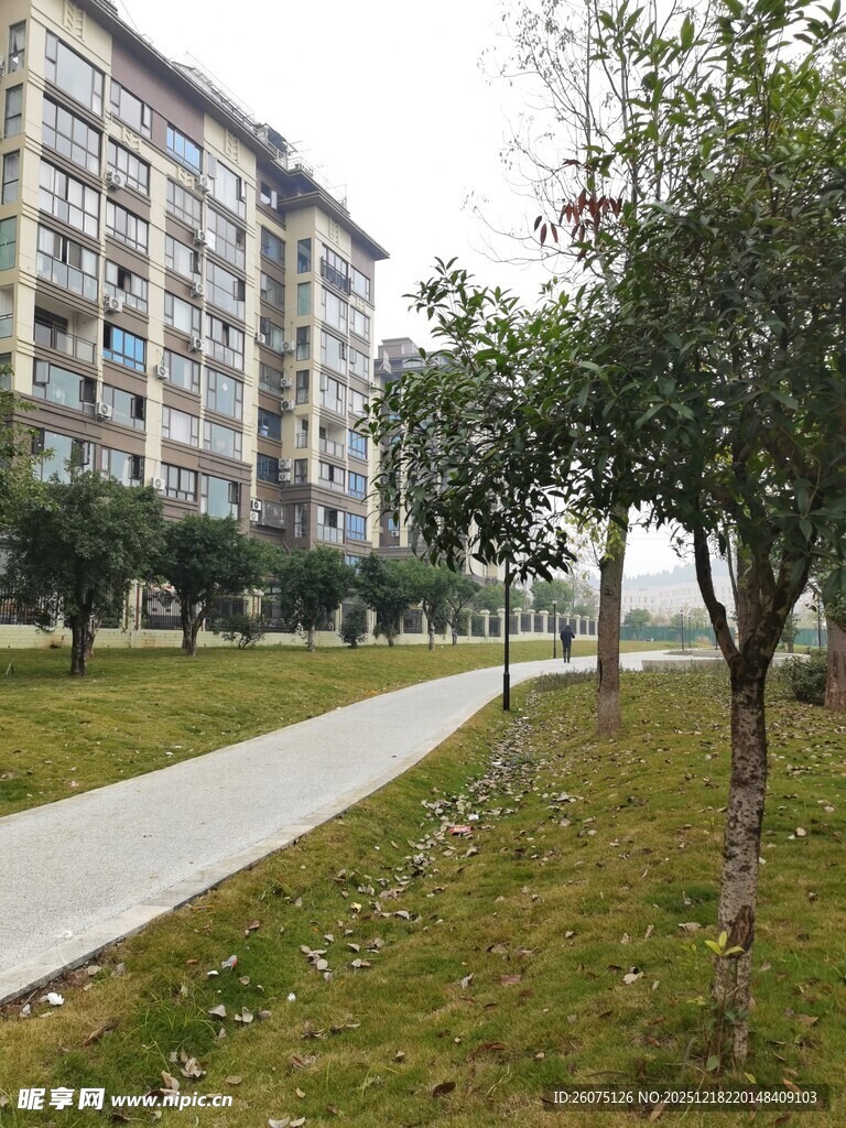 小区内的绿化小径景观