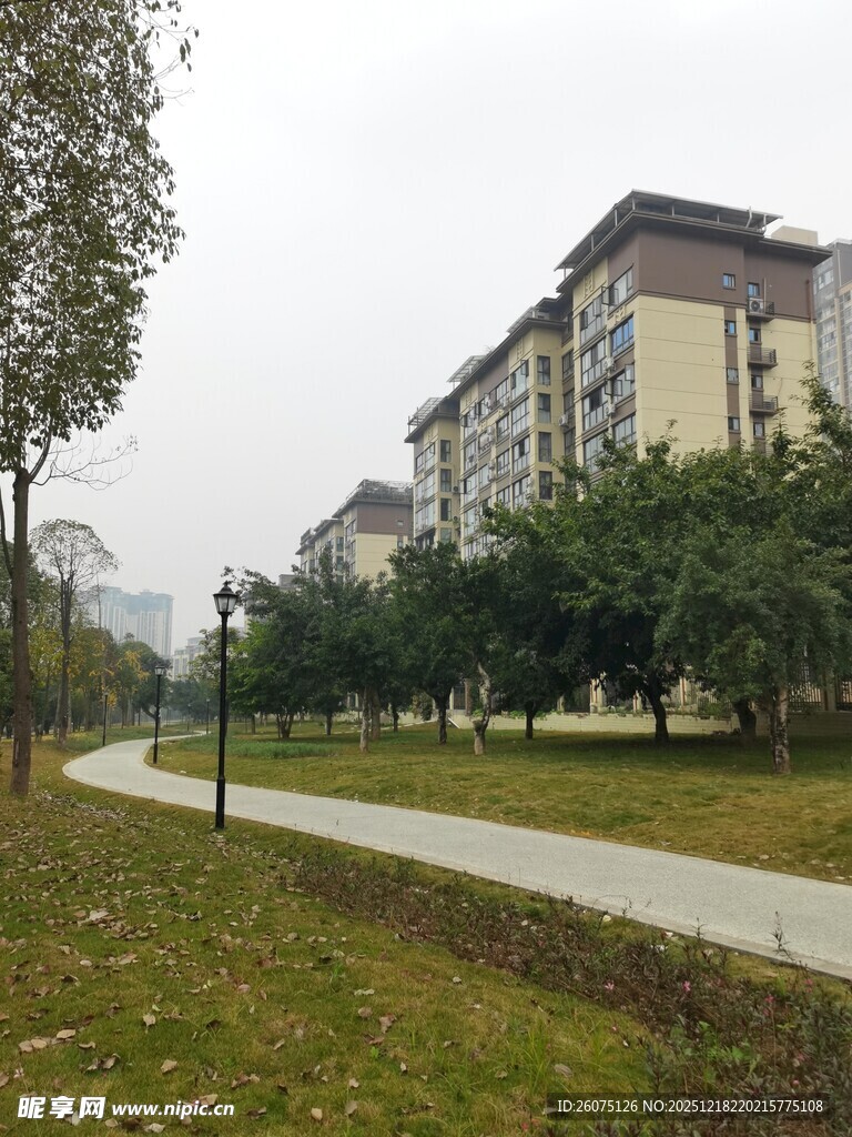 小区旁的宁静步道景观