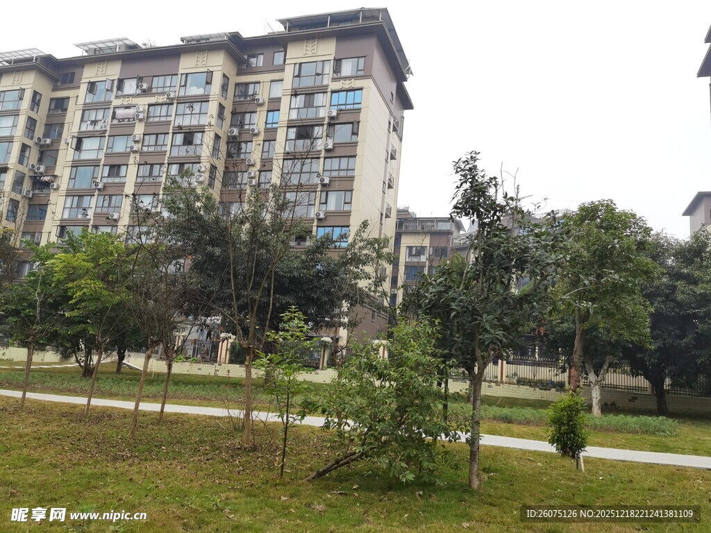 小区旁绿意盎然的休闲草地