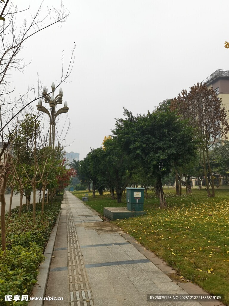 城市中宁静的林荫步道