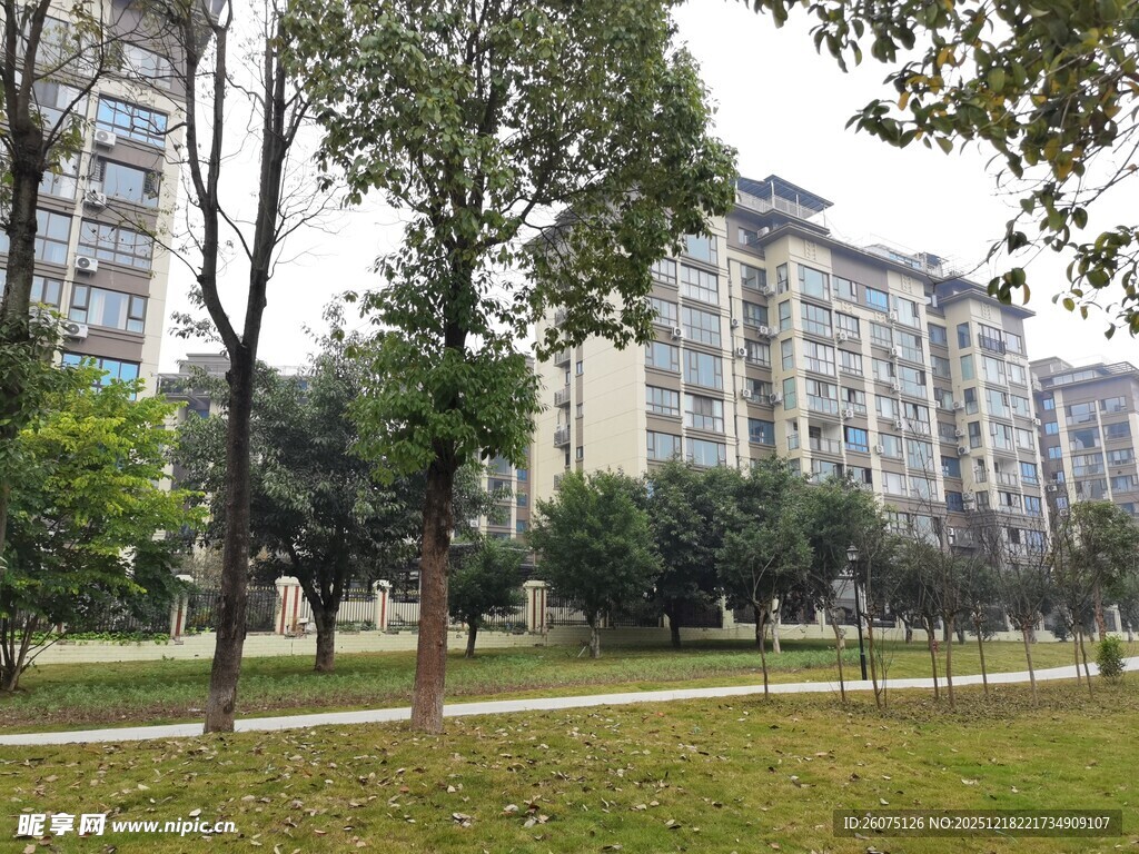 小区内的绿化景观