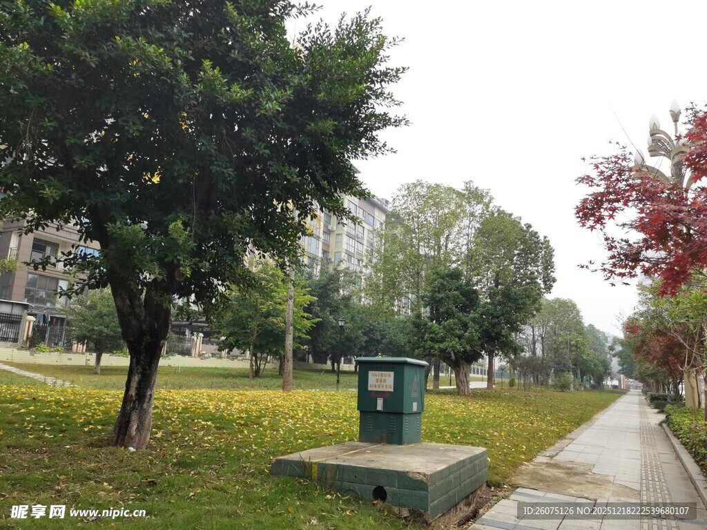 城市公园中的静谧小径