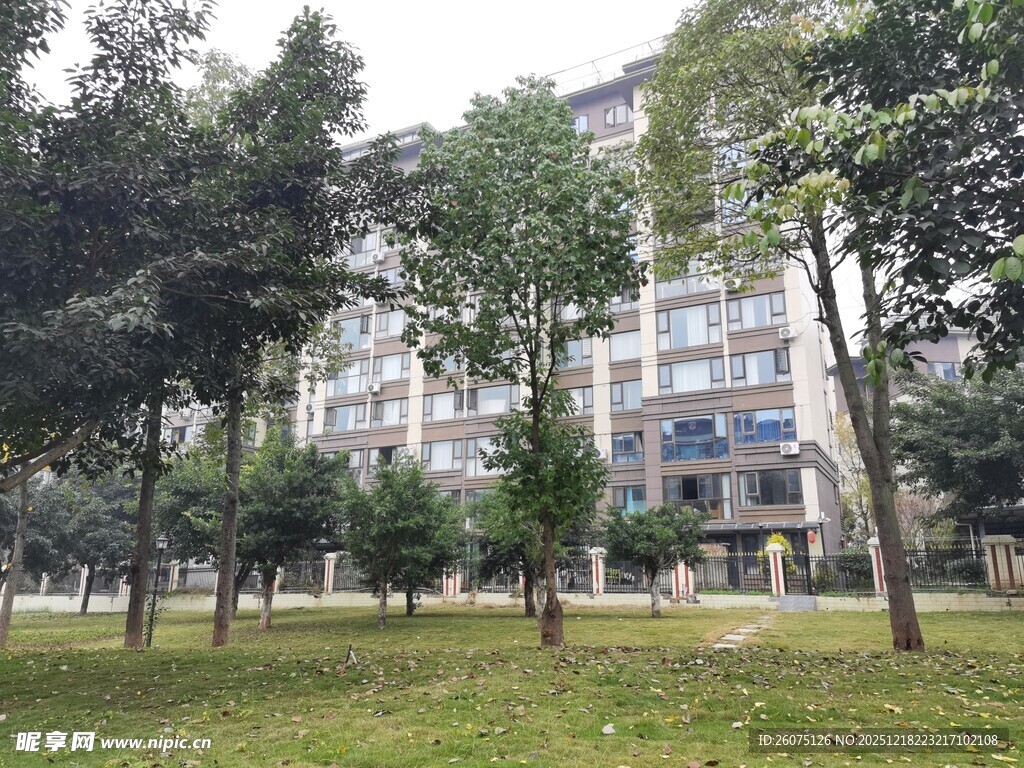小区内绿树环绕的住宅楼