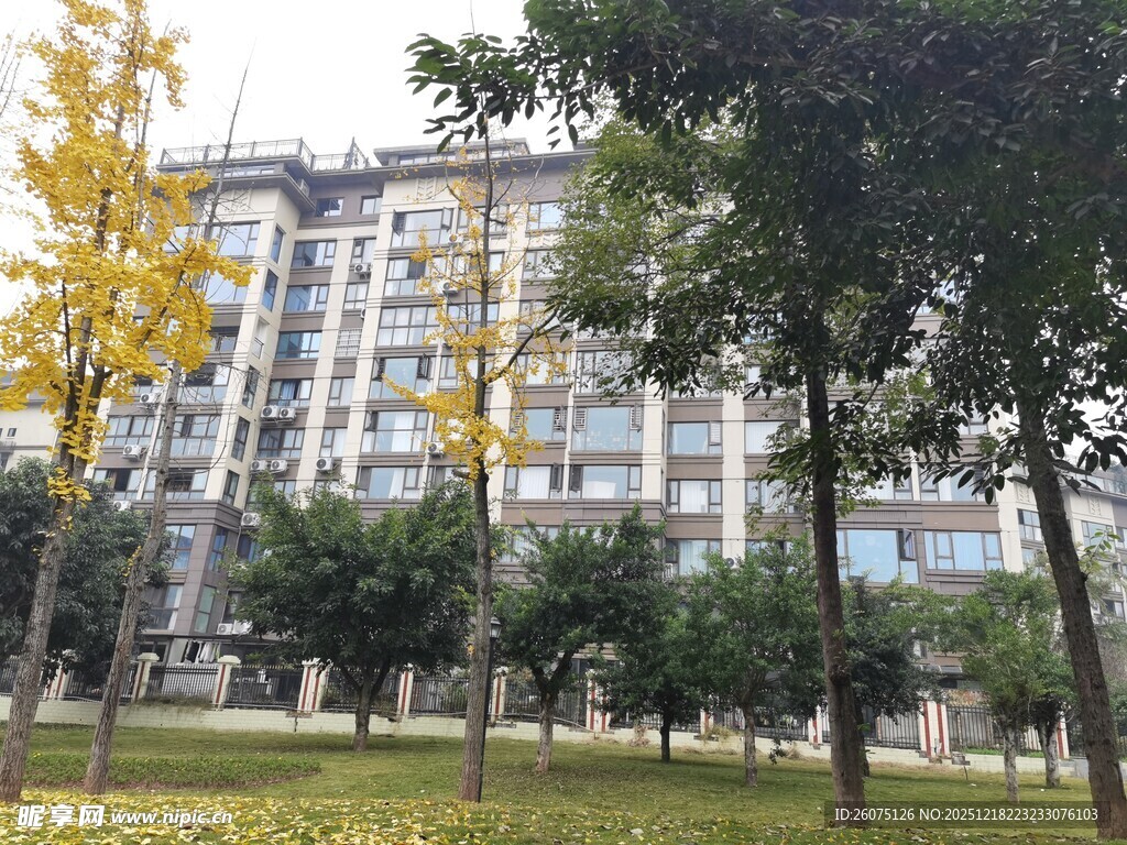 校园旁的多层建筑与绿树