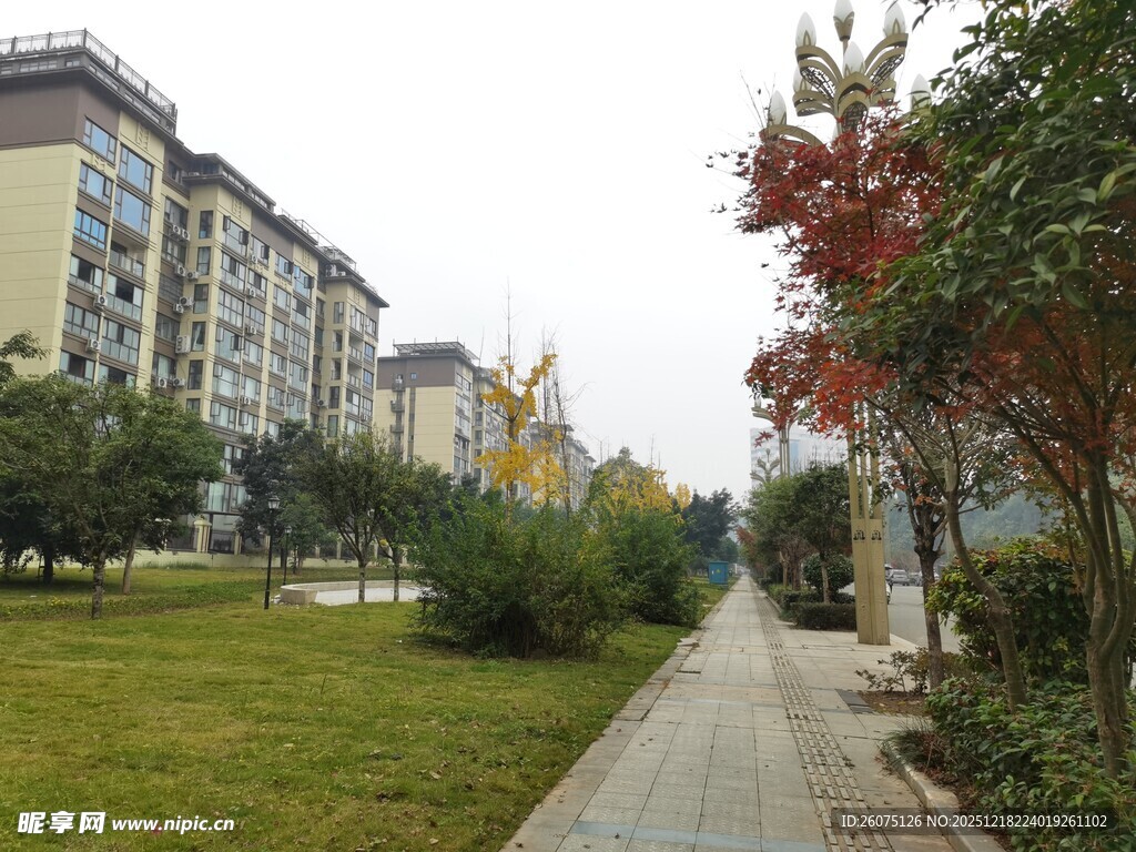 小区内的林荫小道景观