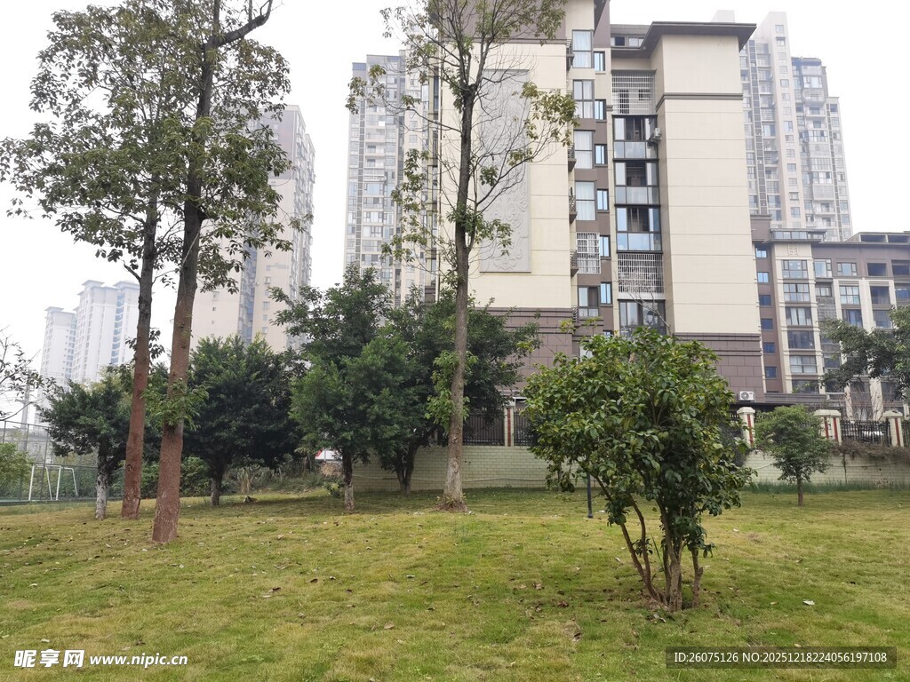 小区内的绿植与高楼景观