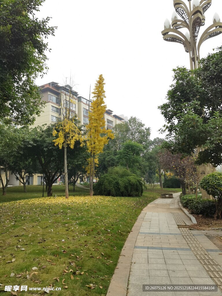 城市公园中的静谧小径