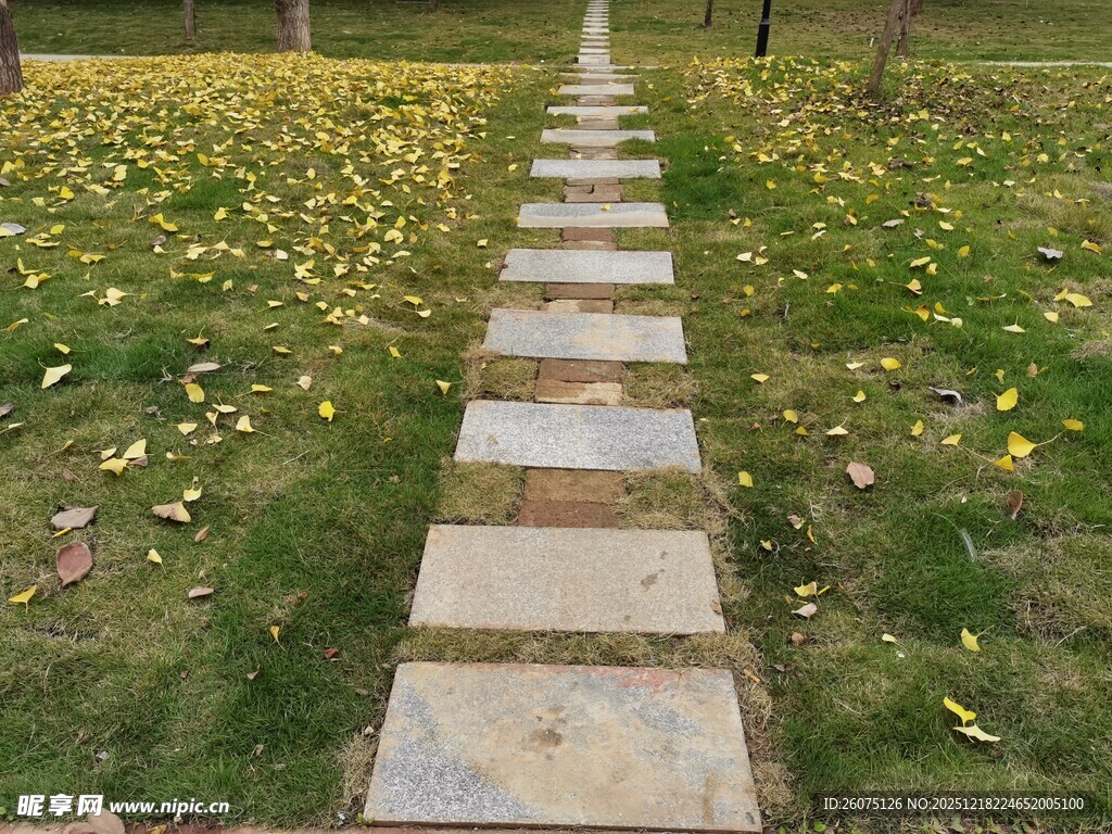 秋日石板小径落叶铺就