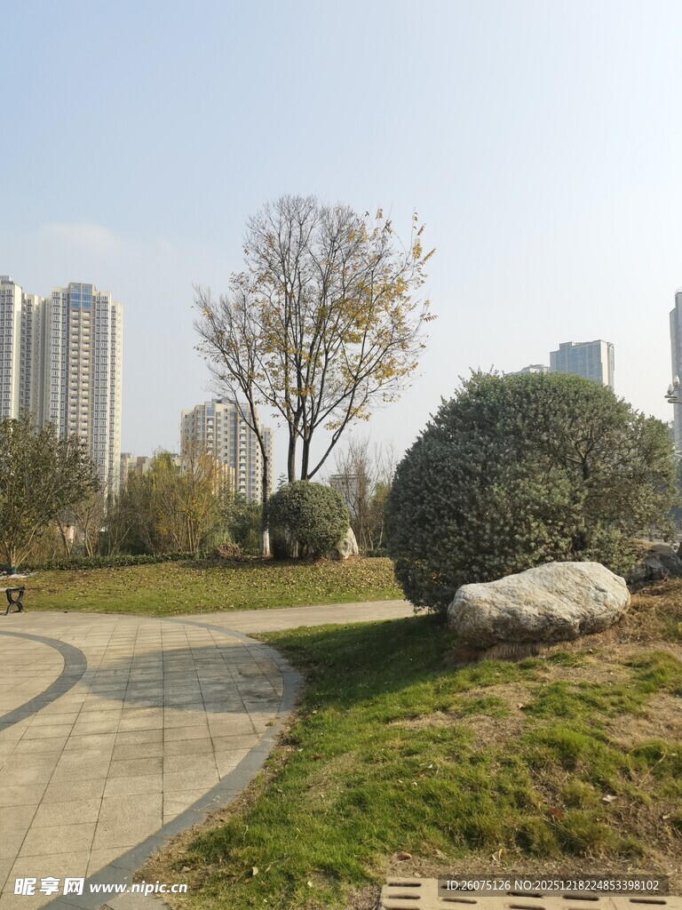 城市公园中的自然景致