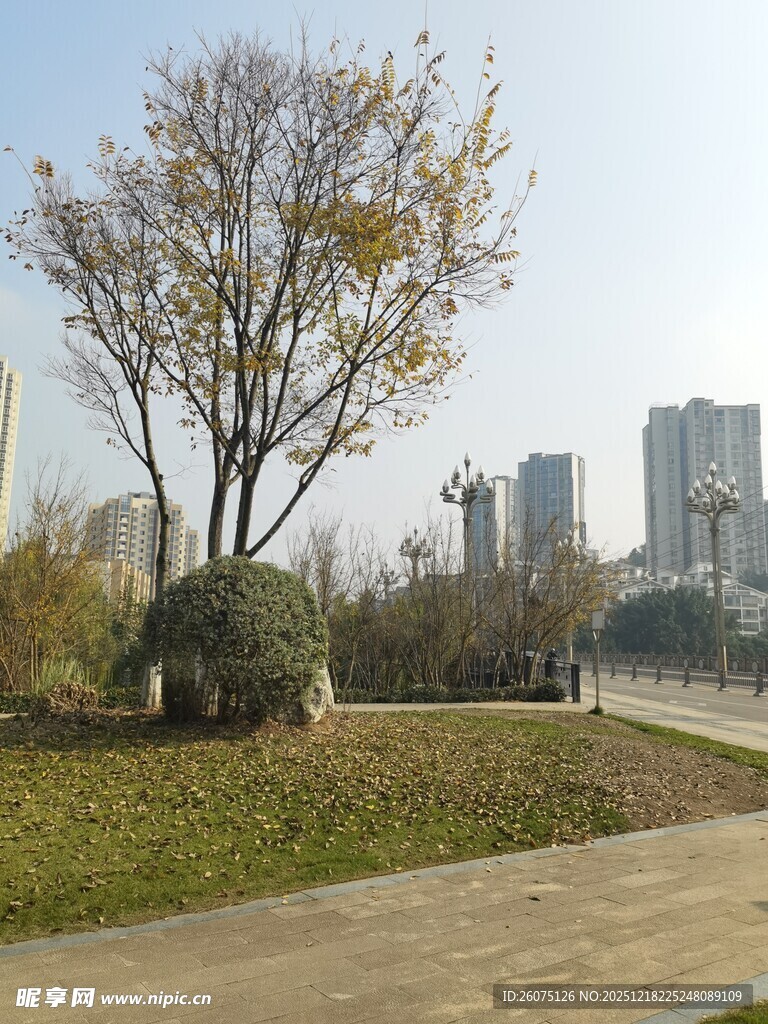 城市公园秋日风景