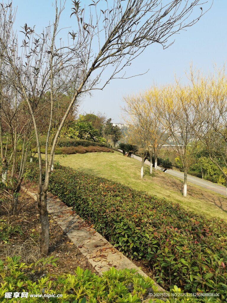 春日园林景观小径