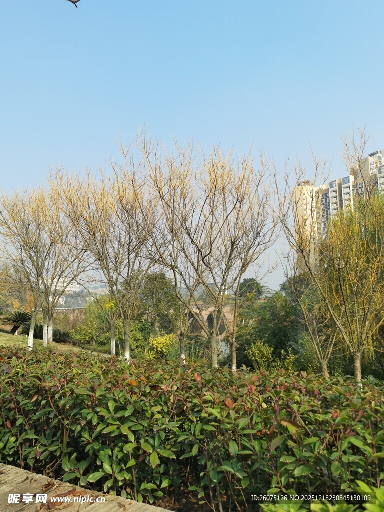 城郊冬日园林景致