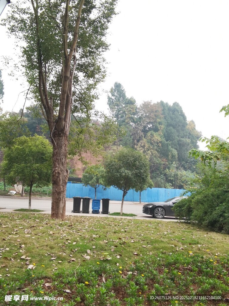 户外绿树旁的蓝色建筑