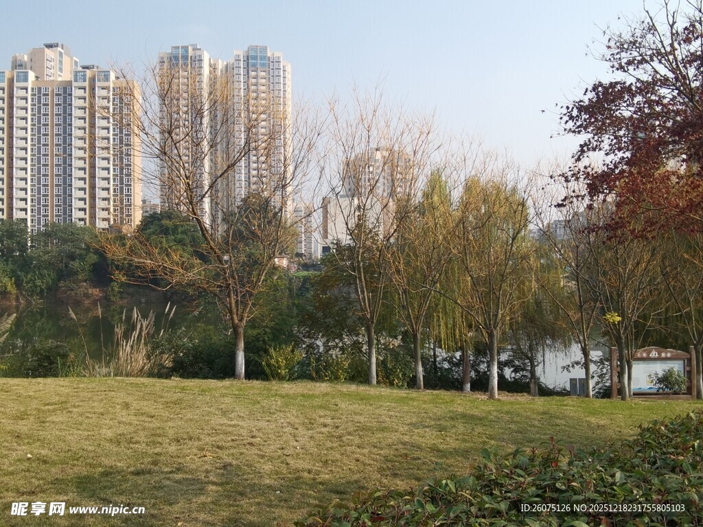 城市公园的自然与建筑景观