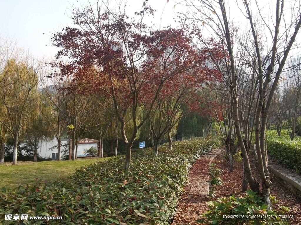 秋日公园小径美景