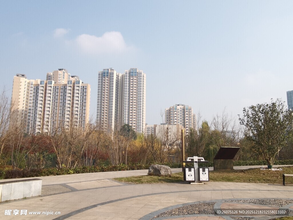 城市公园与高楼景观