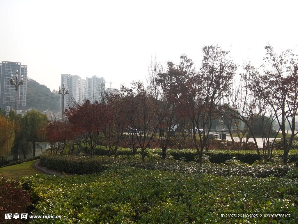 城市河畔多彩植物景观