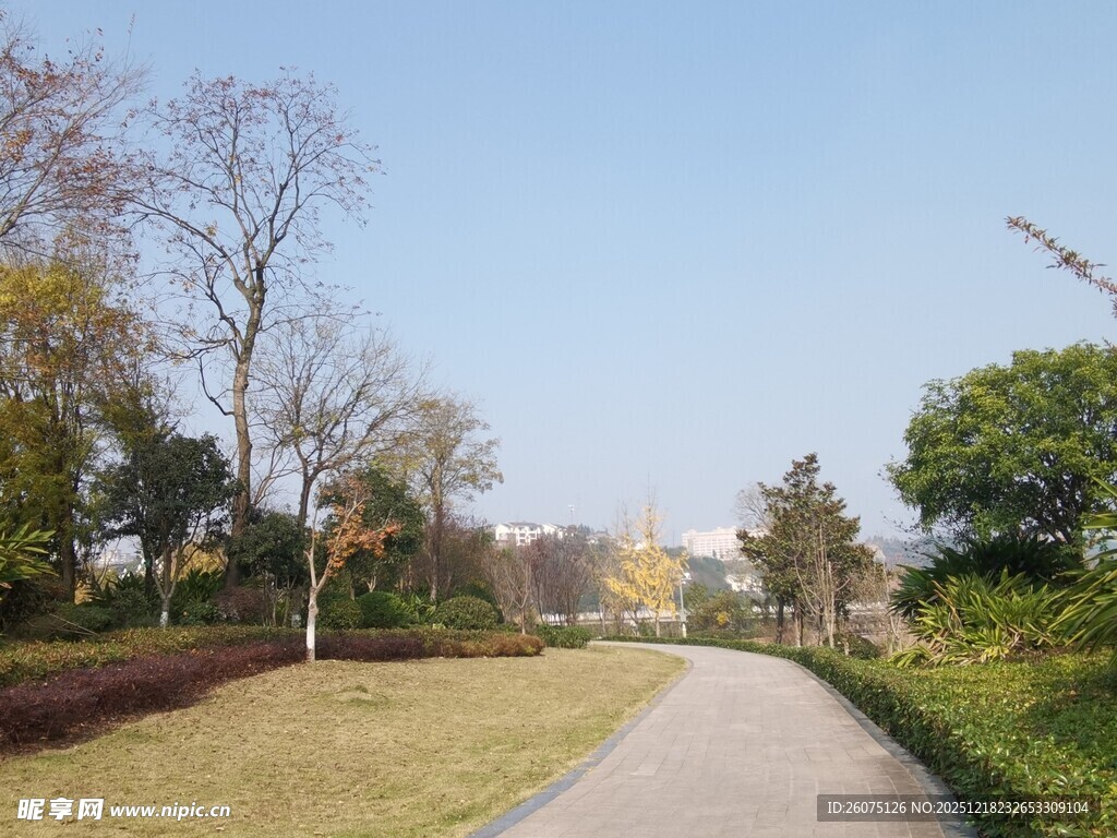 秋日宁静的林间小道