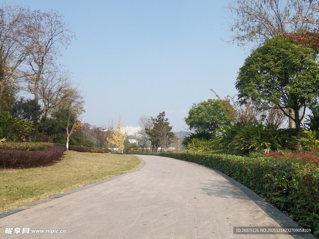 宁静的林间小道