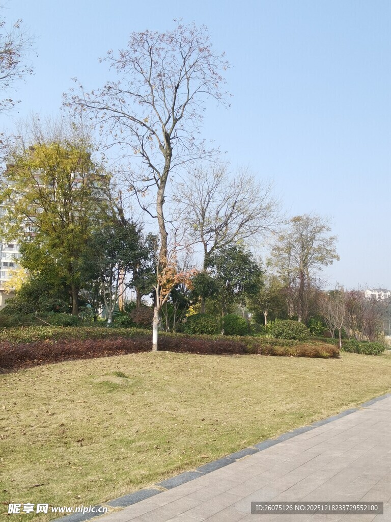 城郊冬日静谧小路风景