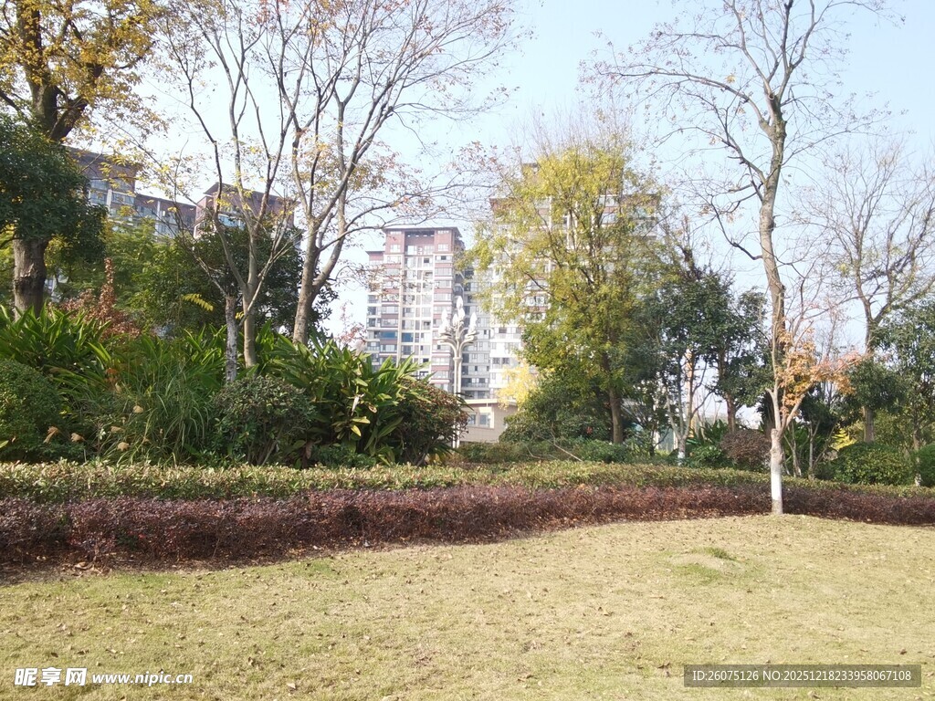 城市中宁静的草地景观