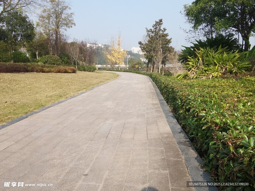 公园中的宁静石板小径