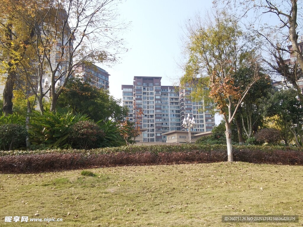 城市草地旁的建筑景观