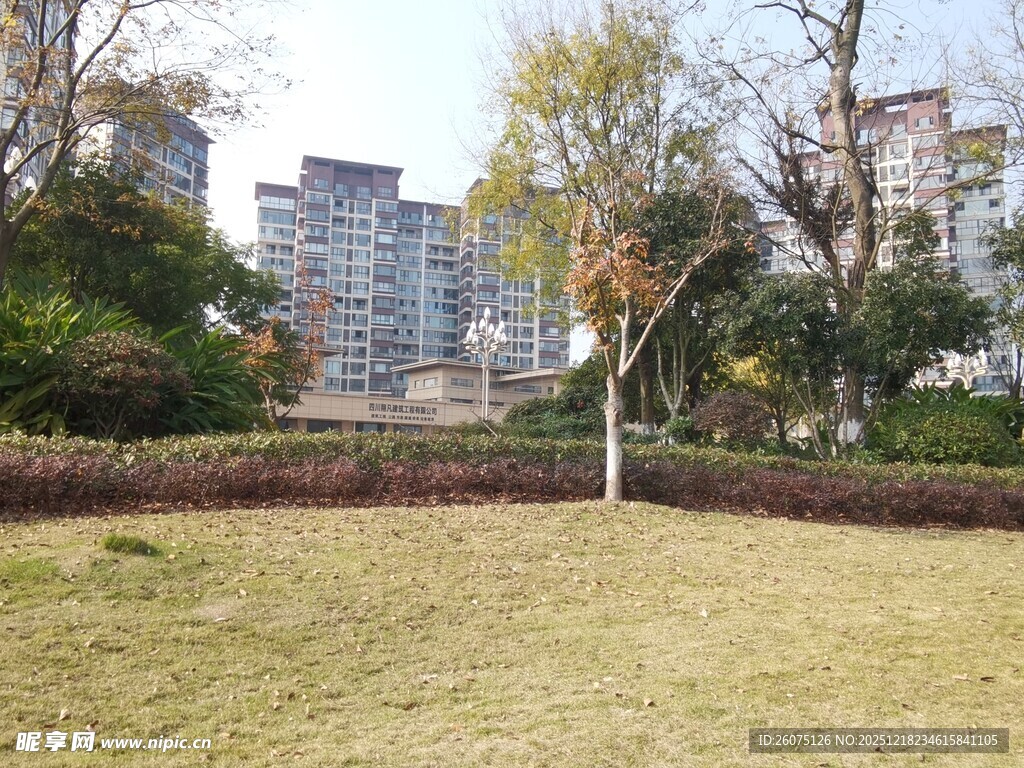 城市公园中的开阔草地景观