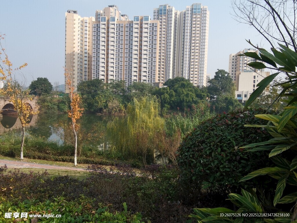 城市公园与高楼景观