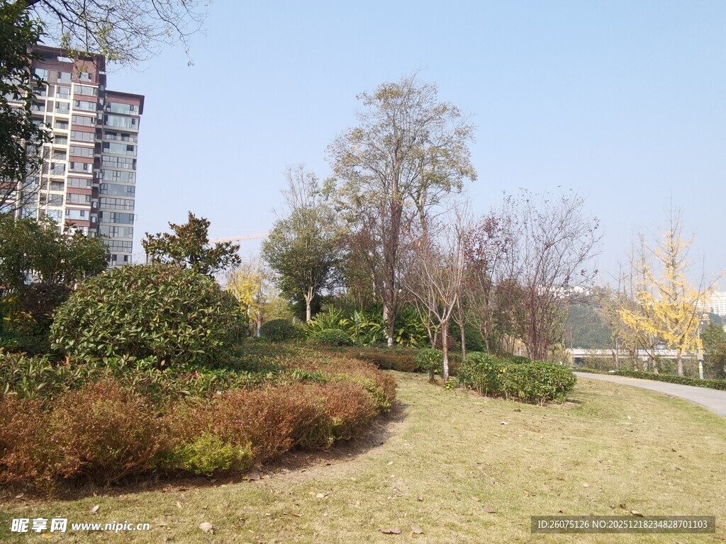 城市公园美景