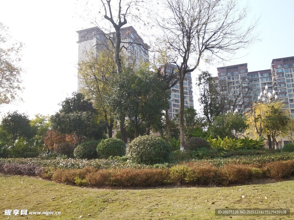 城市中的静谧园林景观