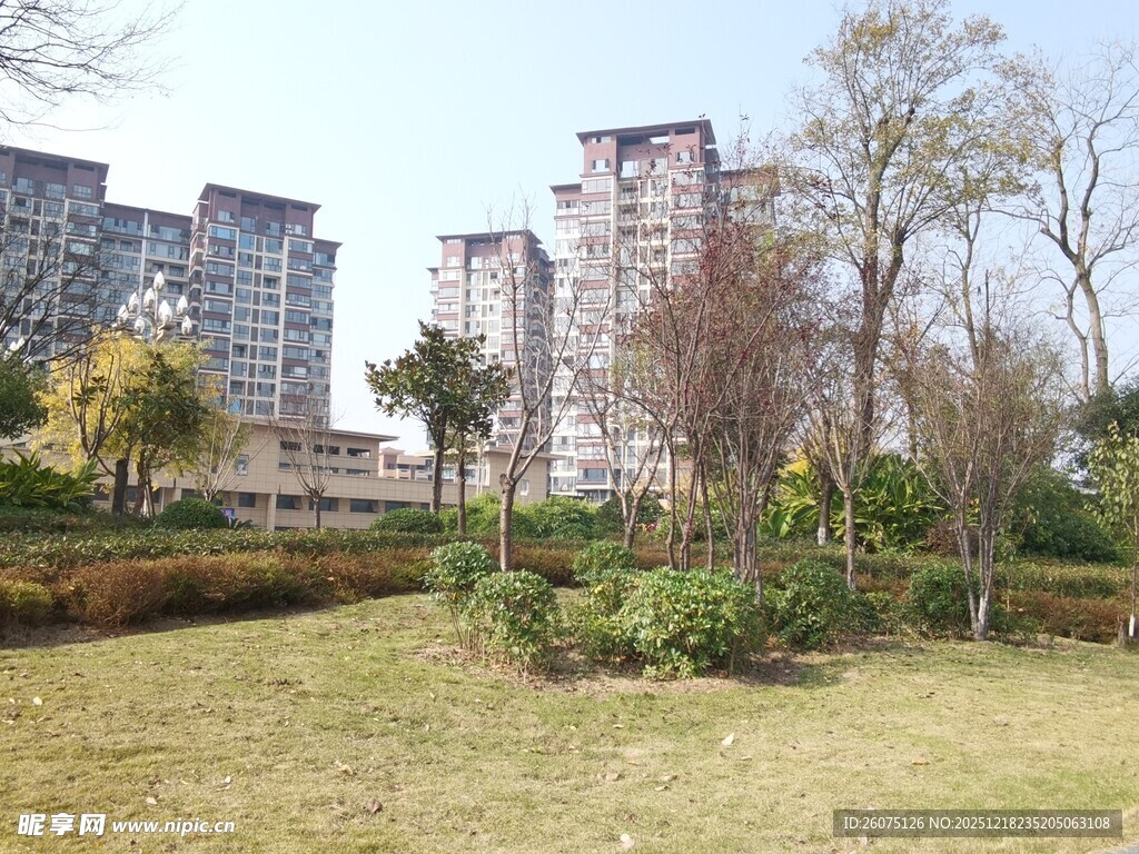 城市小区中的绿化景观