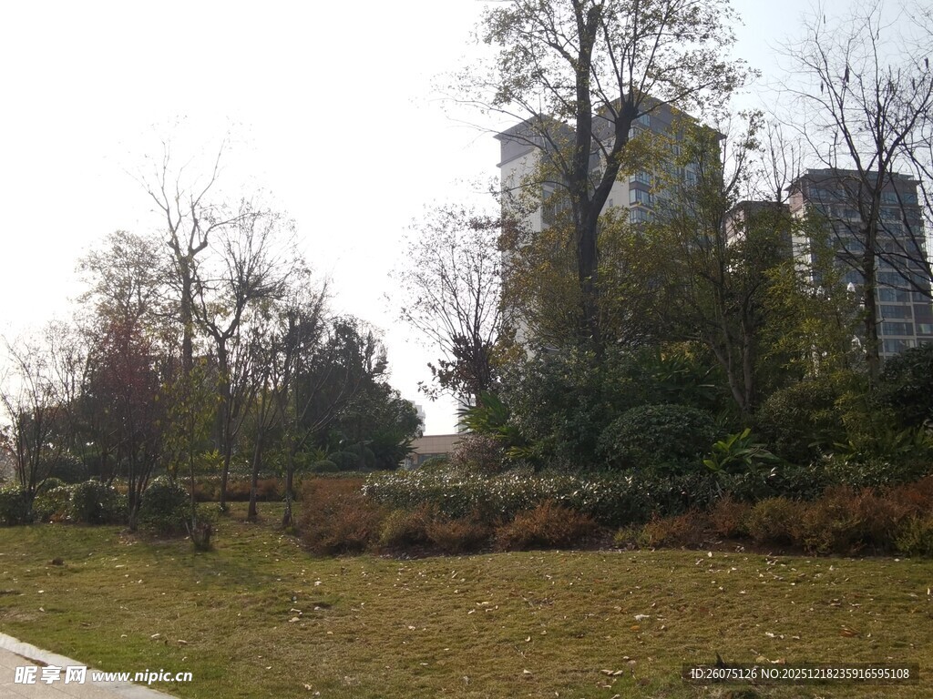 城市公园的静谧景致