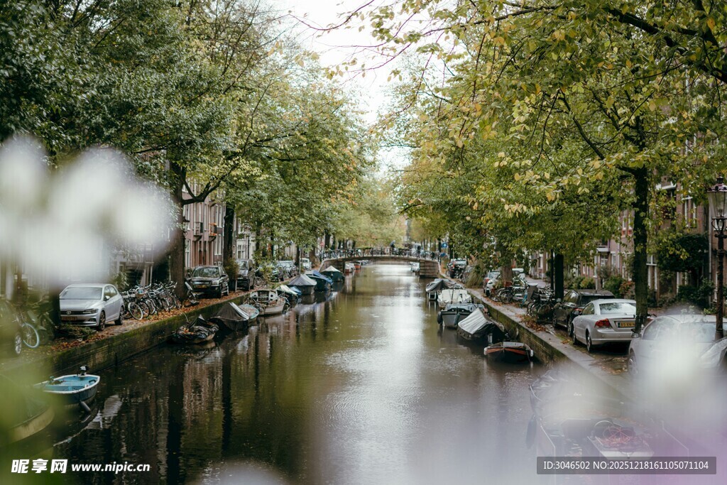 宁静河畔的绿意街道风光