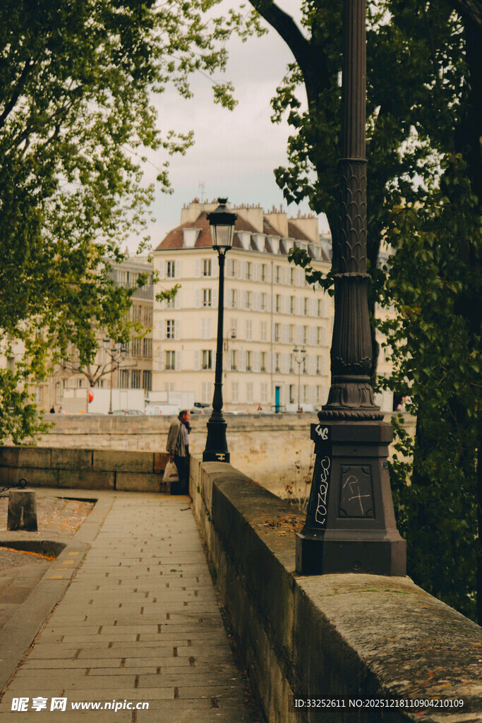 城市街道旁的树木与建筑