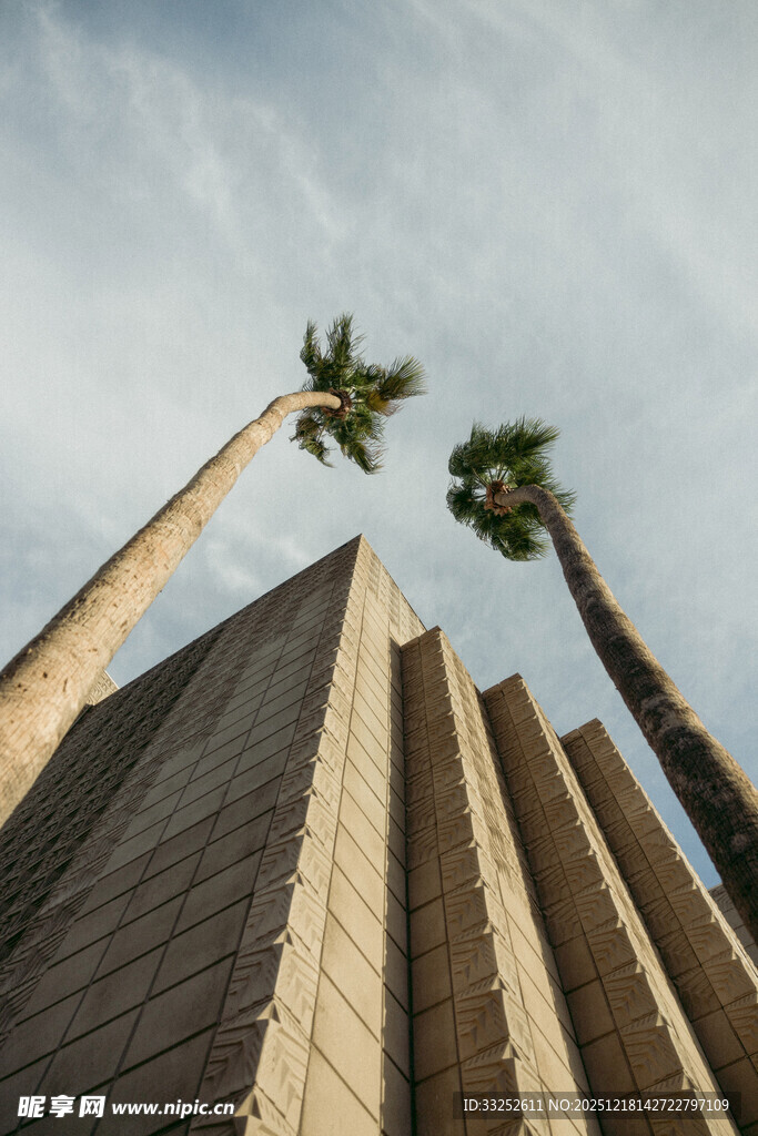 仰视下的建筑与棕榈树