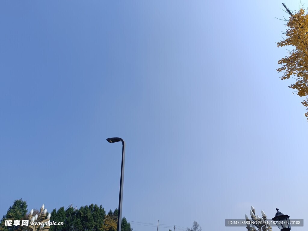 晴朗天空下的路灯与秋景