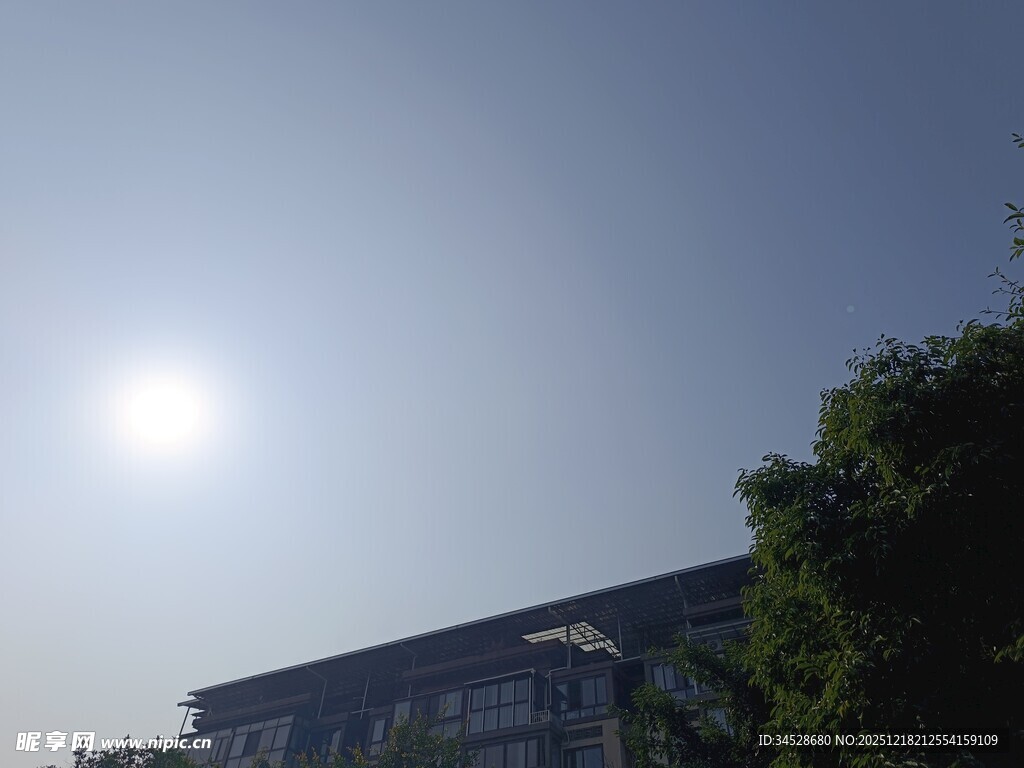 阳光下的楼与绿树