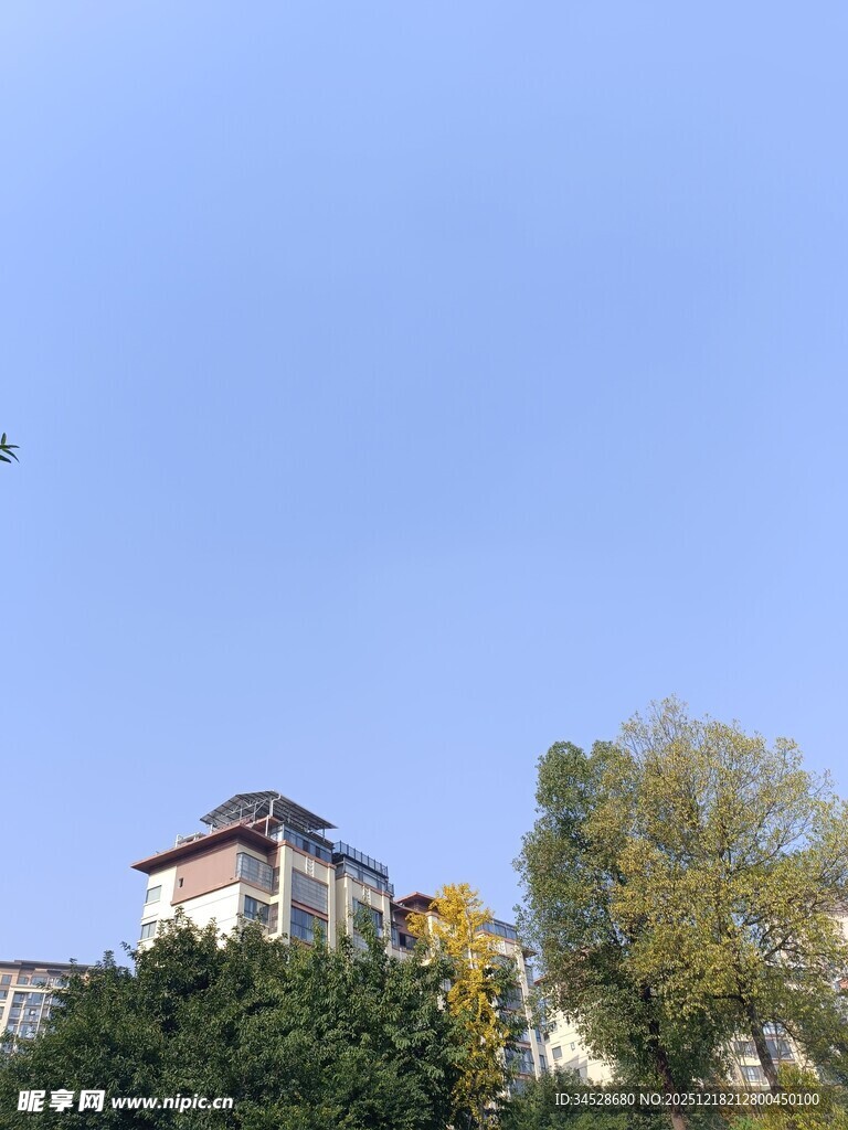 山顶房屋与葱郁树木