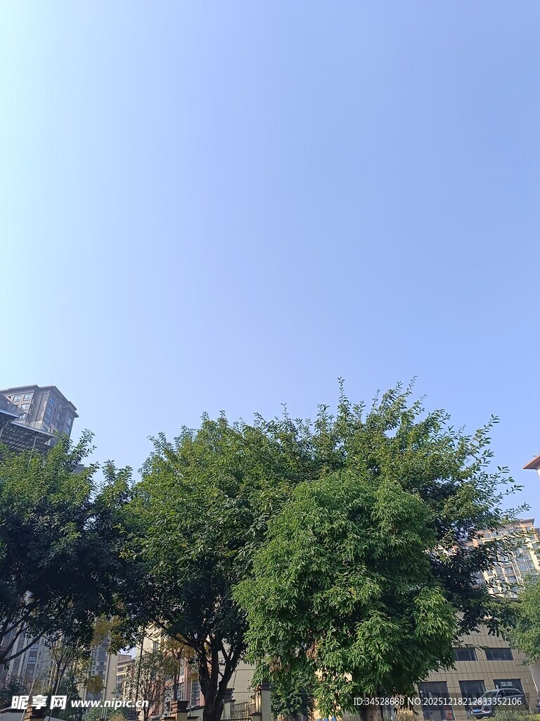 蓝天绿树旁的城市景象