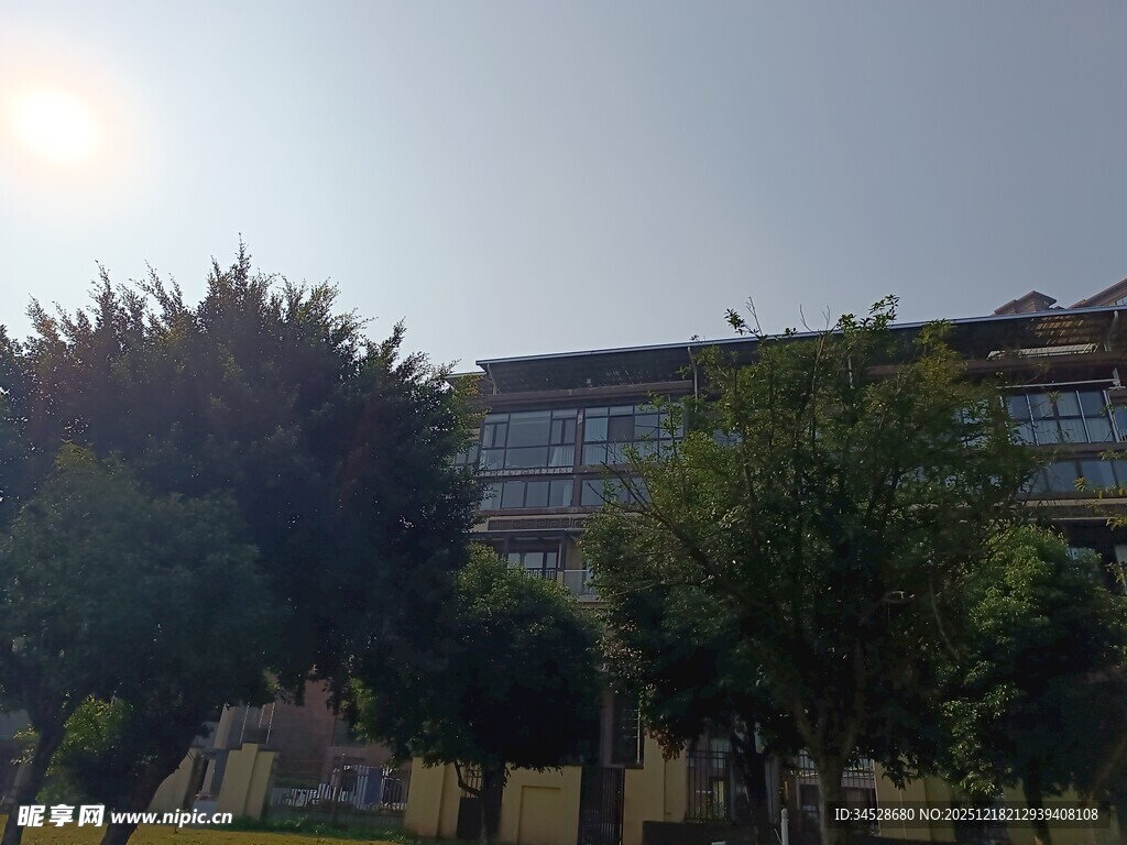 阳光下的建筑与绿植景观