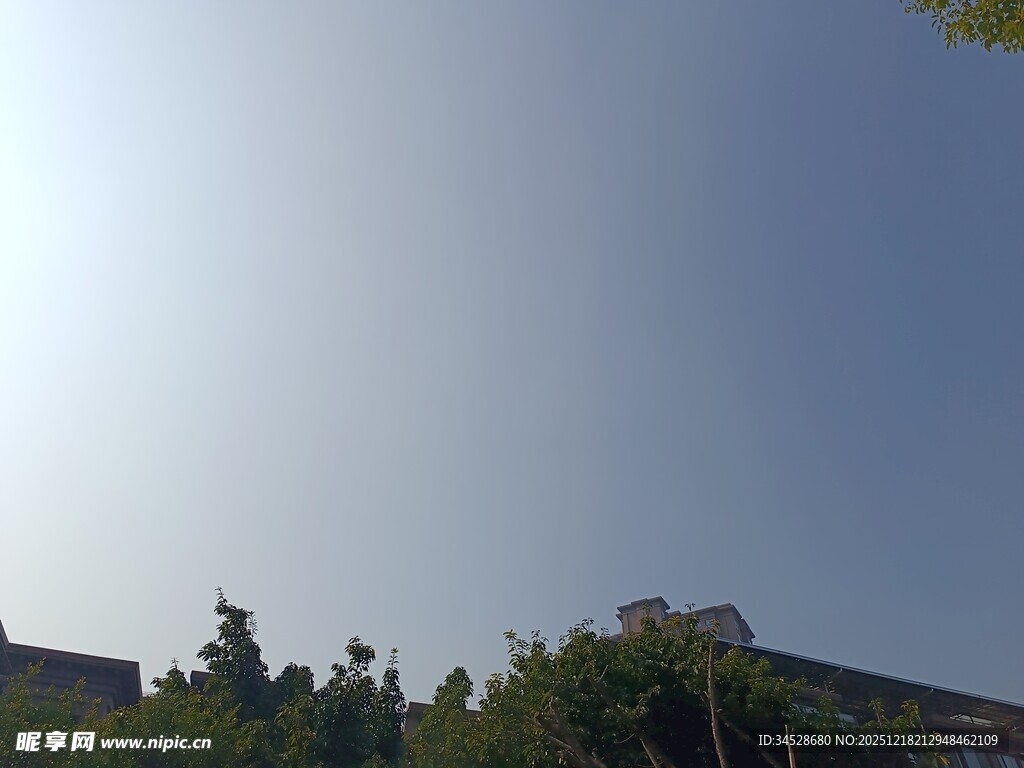 晴朗天空下的绿树与建筑