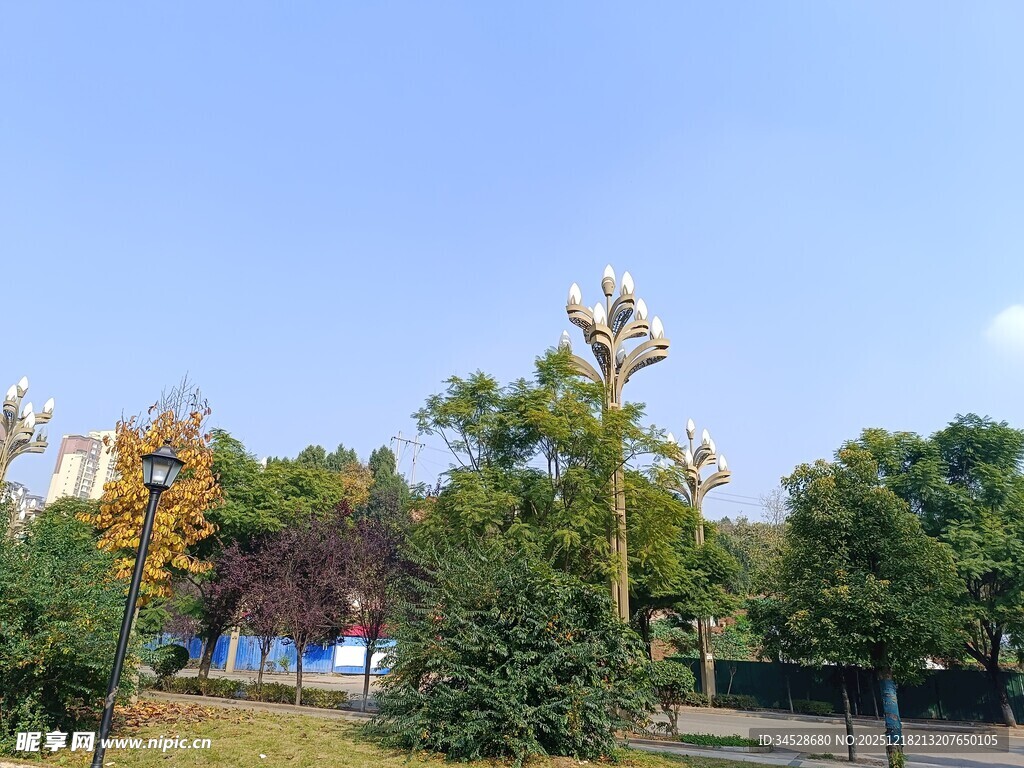 秋日公园绿树蓝天景致