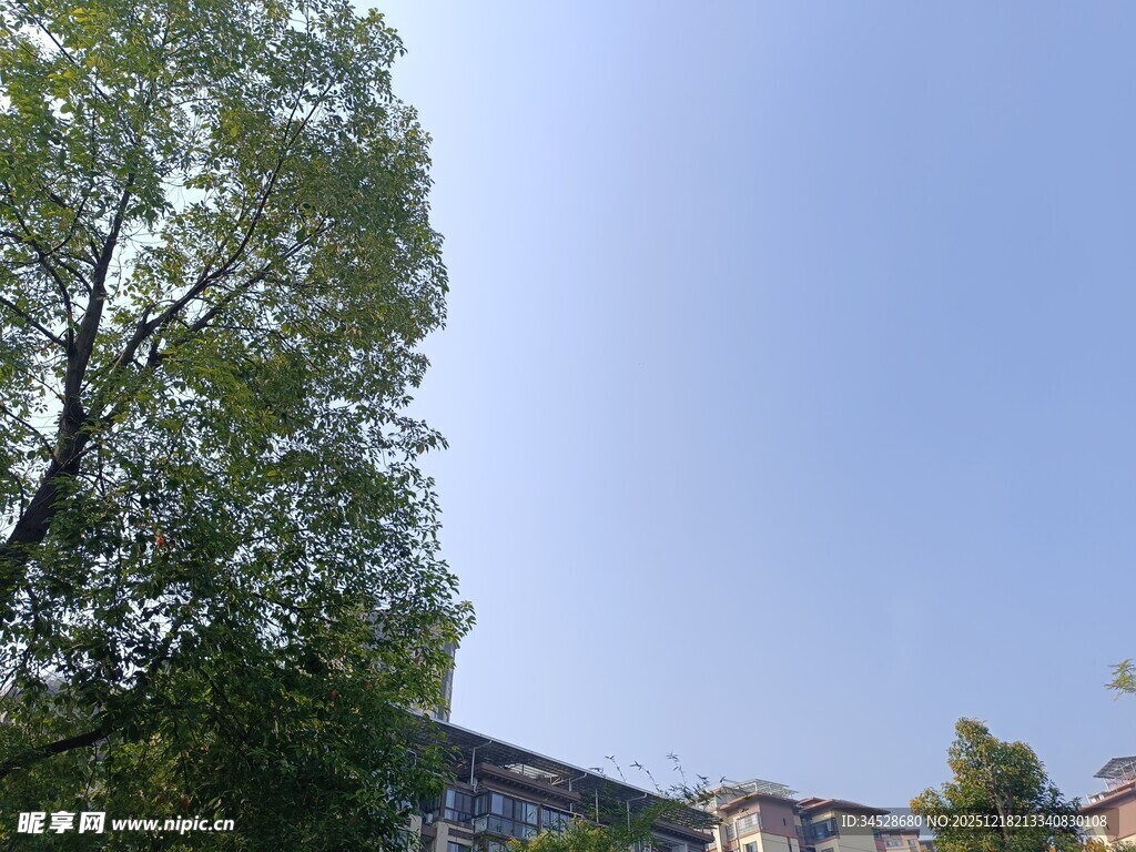 蓝天绿树旁的建筑景观