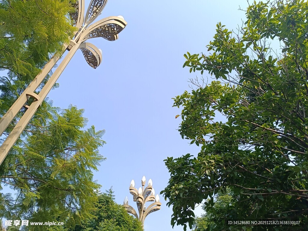 公园中的别致路灯与绿树